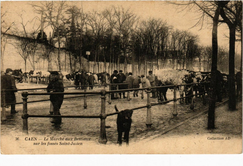 Carte postale ancienne Caen - Le Marché aux Bestiaux sur les fosses Saint-Julien à Caen