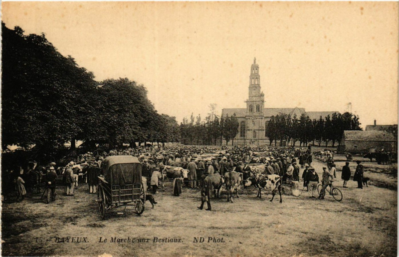 Carte postale ancienne Bayeux - Le Marché aux Bestiaux à Bayeux