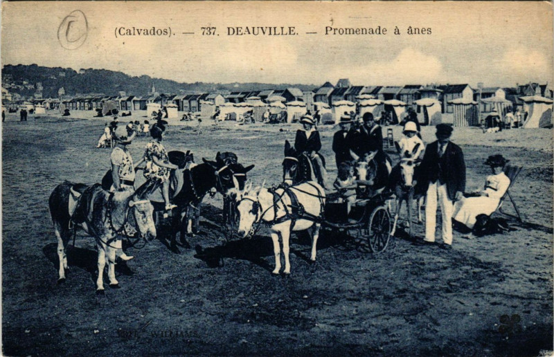 Carte postale ancienne Deauville - Promenade a anes à Deauville