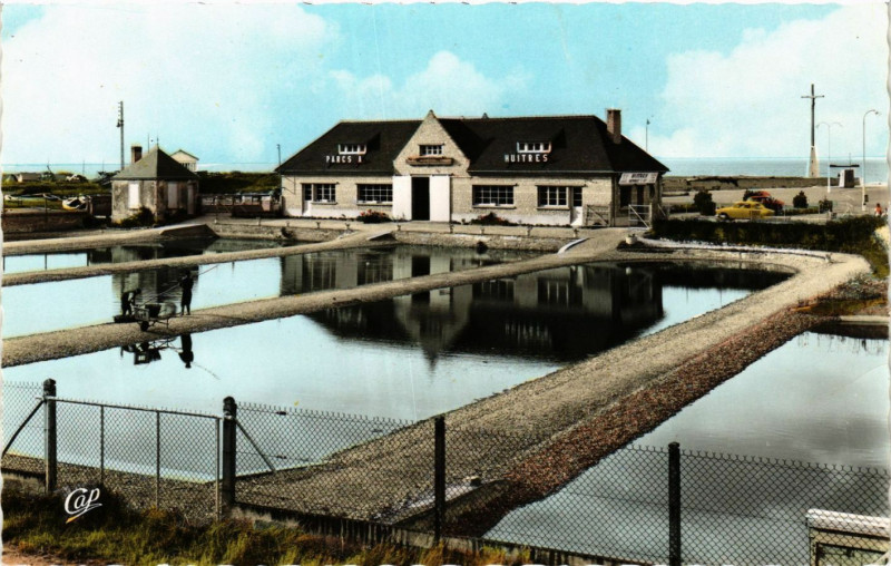 Carte postale ancienne Courseulles-sur-Mer - Parcs a Huitres Héroult à Courseulles-sur-Mer