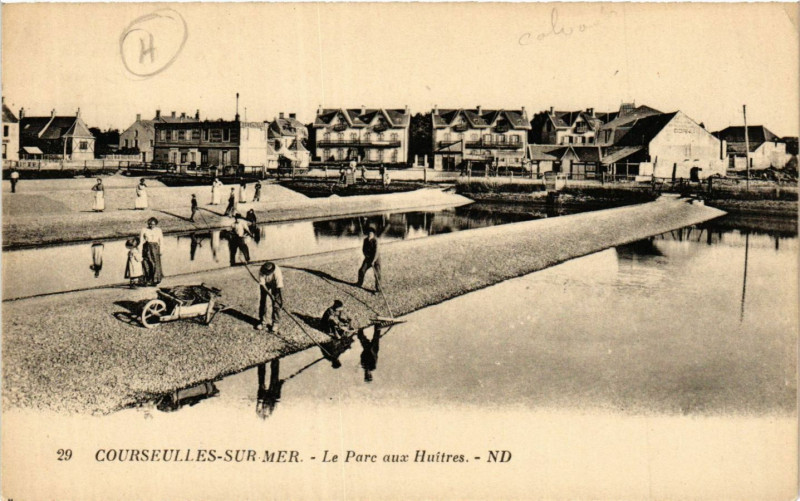 Carte postale ancienne Courseulles-sur-Mer - Le Parc aux Huitres à Courseulles-sur-Mer