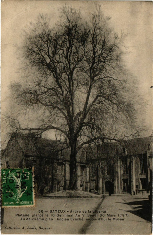 Carte postale ancienne Bayeux - Arbre de la Liberte à Bayeux