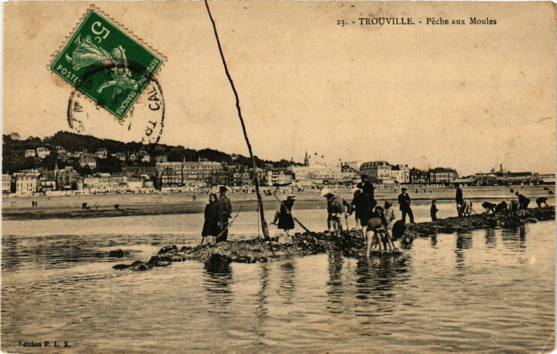 Carte postale ancienne Trouville - Peche aux Moules