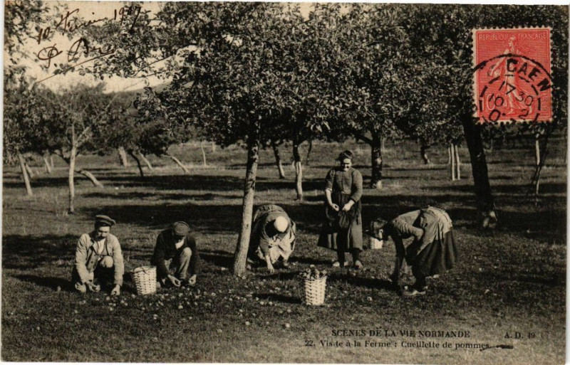 Carte postale ancienne Scenes de la vie Normande