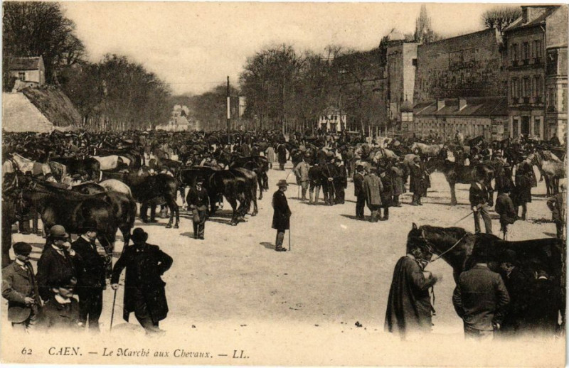 Carte postale ancienne Caen - Le Marche aux Chevaux à Caen