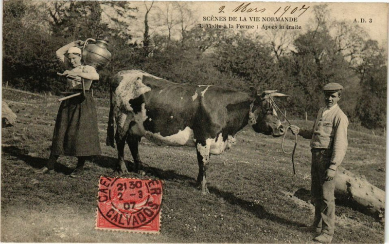 Carte postale ancienne Scenes de la vie Normande - Visite a la Ferme