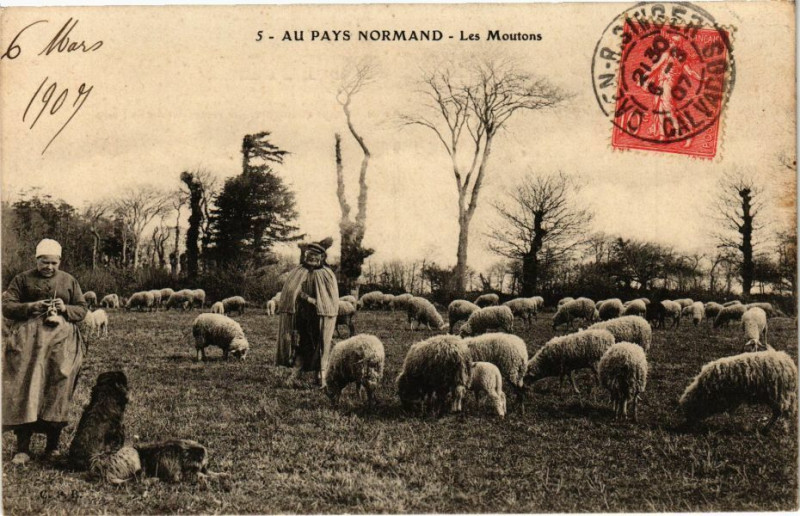Carte postale ancienne Au pays Normand - Les Moutons