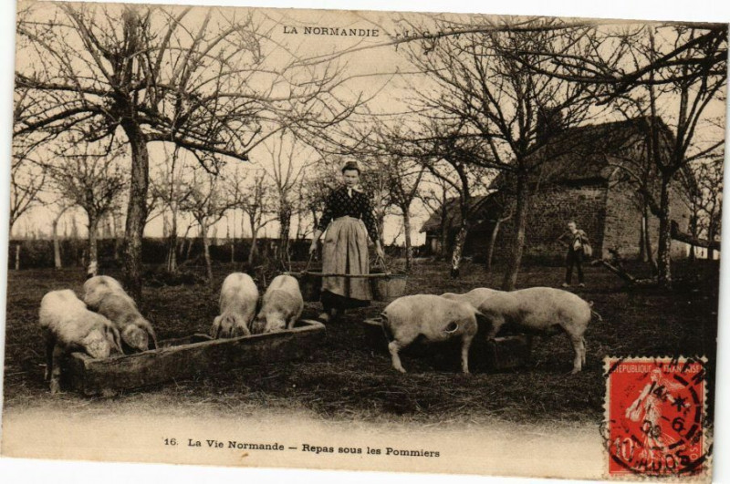 Carte postale ancienne La Vie Normande - Repas sous les Pommiers