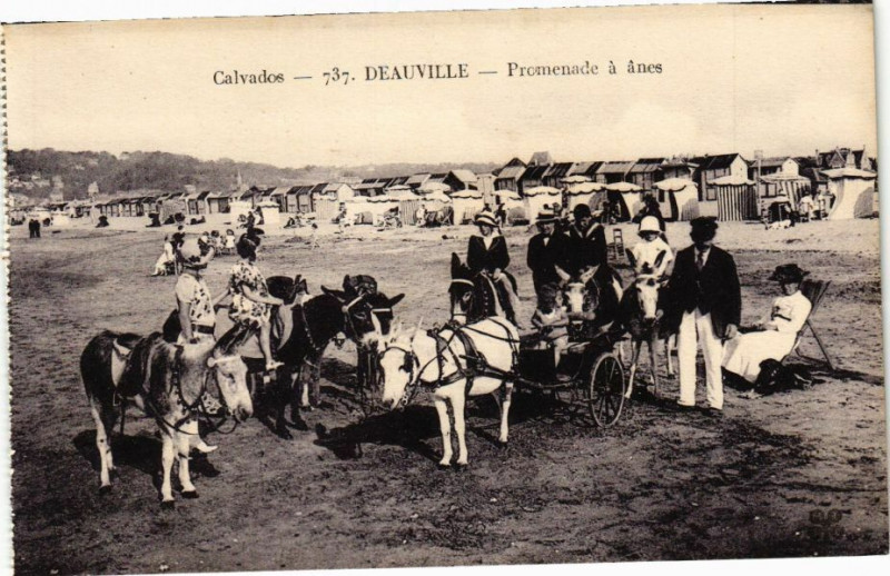 Carte postale ancienne Deauville - Promenade a anes à Deauville