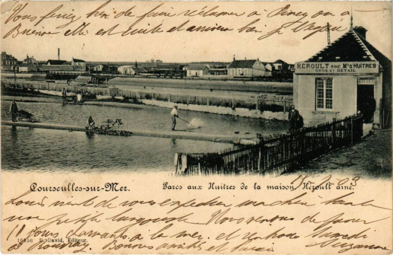 Carte postale ancienne Courseulles-sur-Mer - Pares aux Huitres à Courseulles-sur-Mer