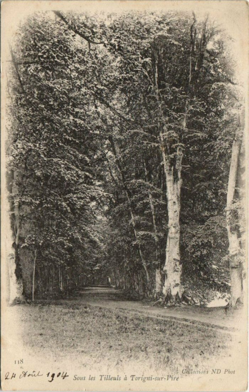 Carte postale ancienne Sous les Tilleuls a Torigni-sur-Vire