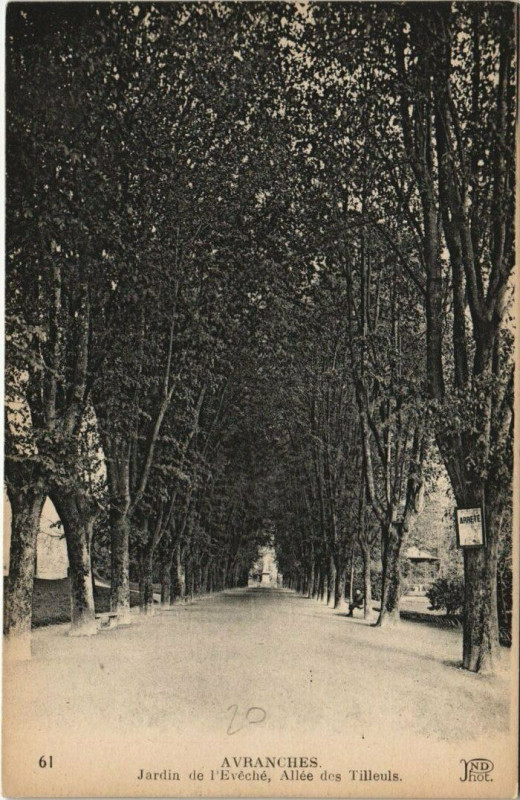 Carte postale ancienne Avranches - Jardin de l'Eveche Allée des Tilleuls à Avranches