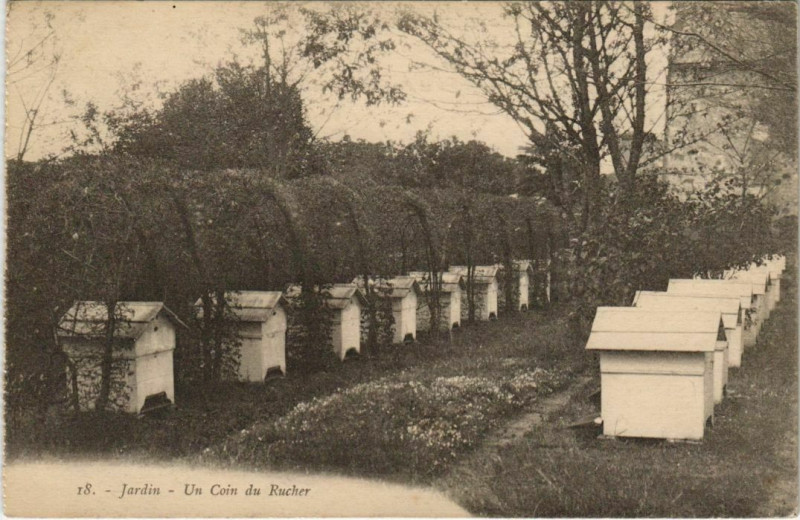Carte postale ancienne Abbaye de N.-D. de Grace - Bricquebec - jardin