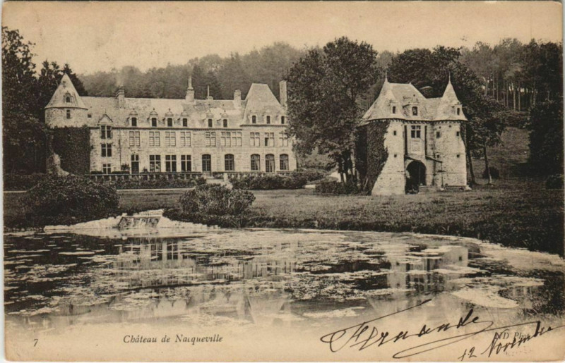 Carte postale ancienne Chateau de Nacqueville