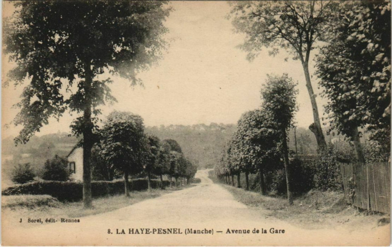 Carte postale ancienne La Haye-Pesnel - Avenue de la Gare à La Haye-Pesnel