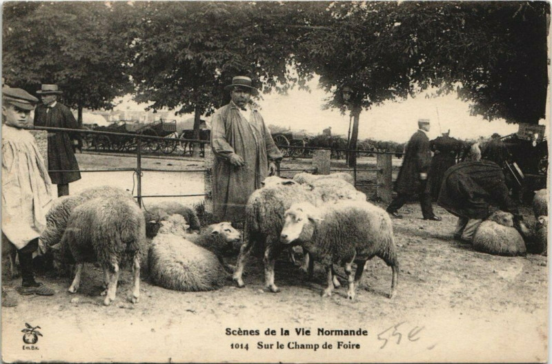 Carte postale ancienne Scenes de la Vie Noramnde Sur le Champ de Foire