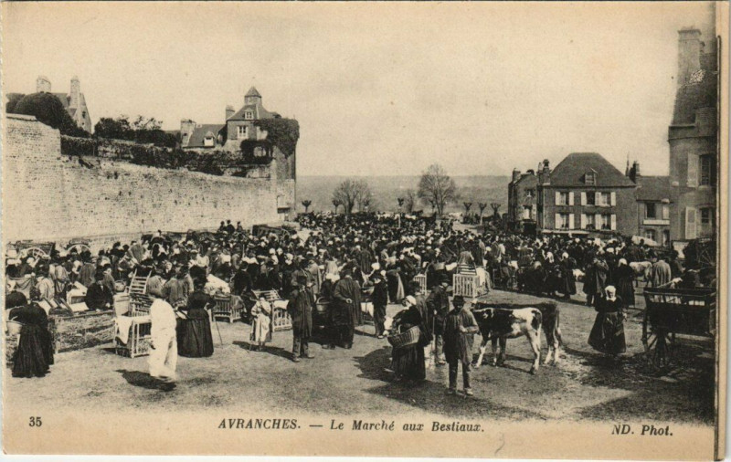 Carte postale ancienne Avranches Le Marché aux Bestiaux à Avranches