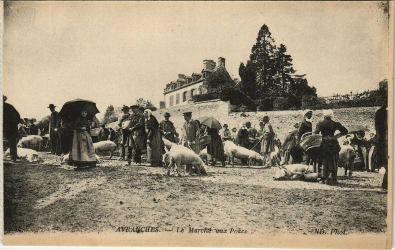 Carte postale ancienne Avranches Le Marché aux Porcs à Avranches