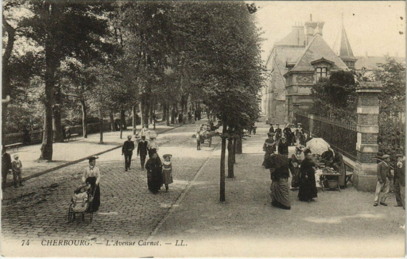 Carte postale ancienne Cherbourg - L'Avenue Carnot
