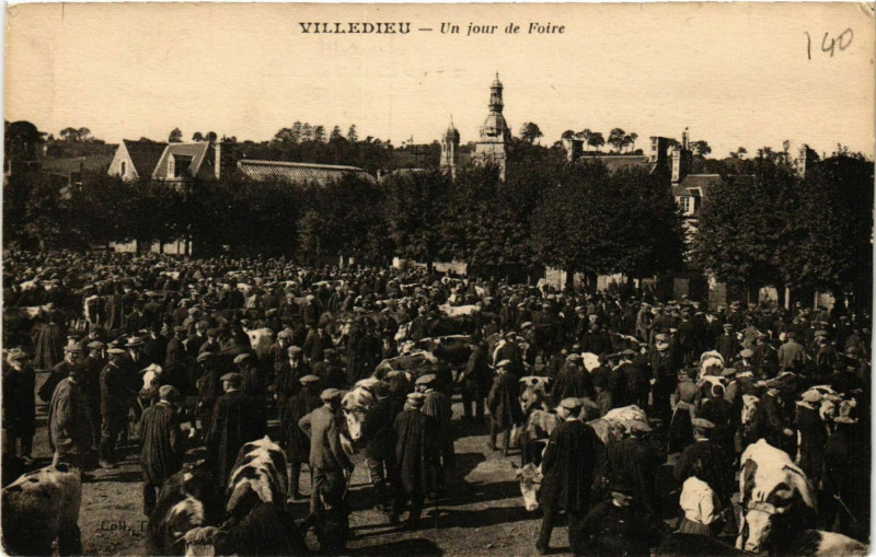 Carte postale ancienne Villedieu Un Jour de Foire