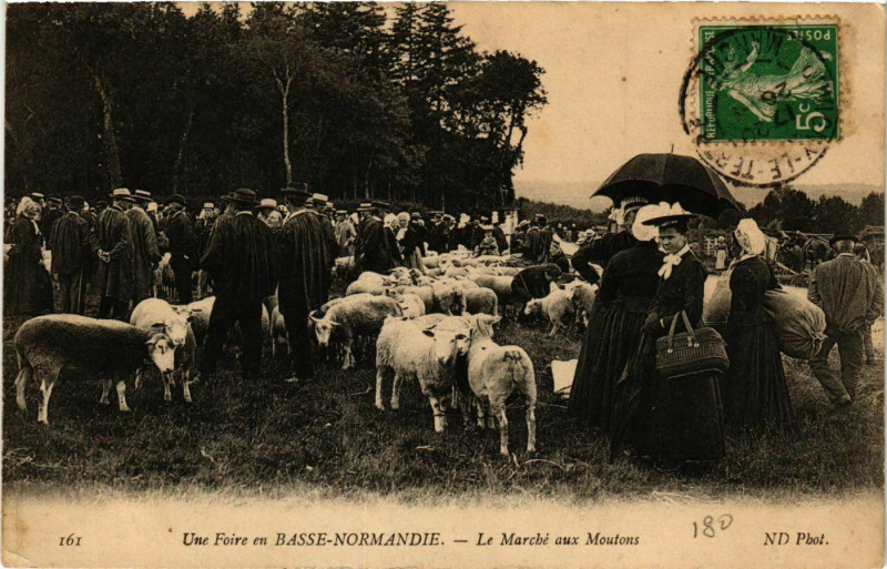 Carte postale ancienne Une Foire en Basse-Normandie Le Marche aux Moutons