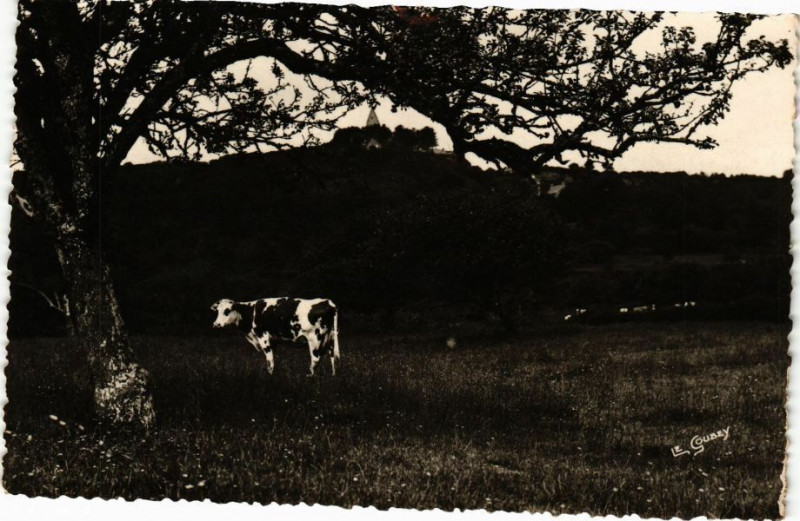 Carte postale ancienne La Normandie Pittoresque - La Pernelle à La Pernelle