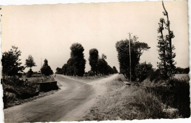 Carte postale ancienne Hauteville-sur-Mer - Les Avenues à Hauteville-sur-Mer