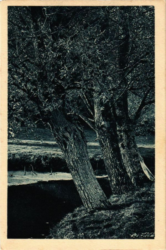 Carte postale ancienne Vaslot