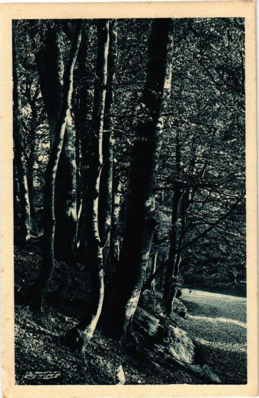 Carte postale ancienne Vaslot