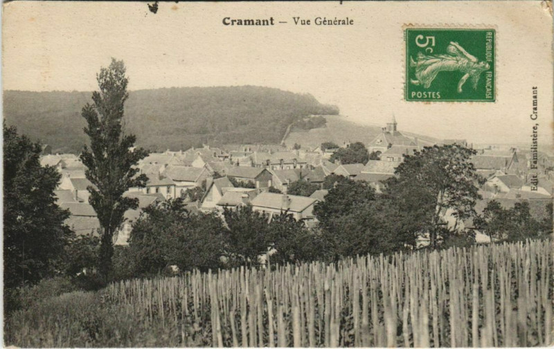 Carte postale ancienne Cramant Vue Generale à Cramant