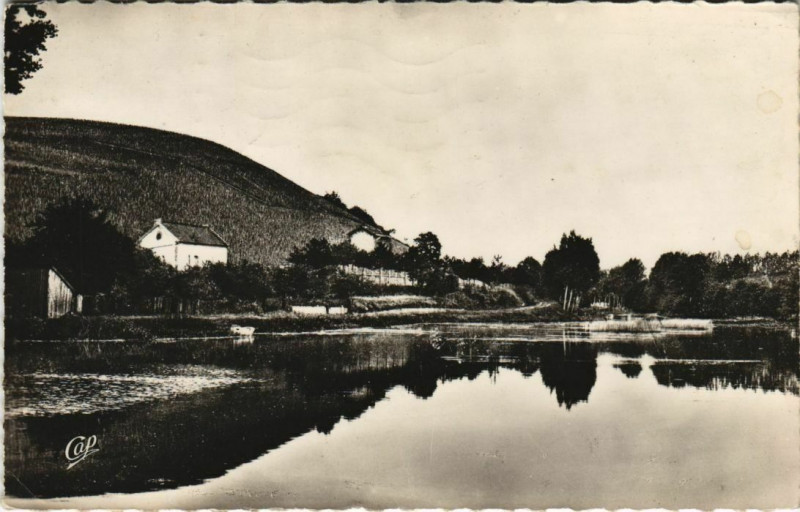 Carte postale ancienne Epernay - Coteau de Mareuil-sur-Ay à Épernay
