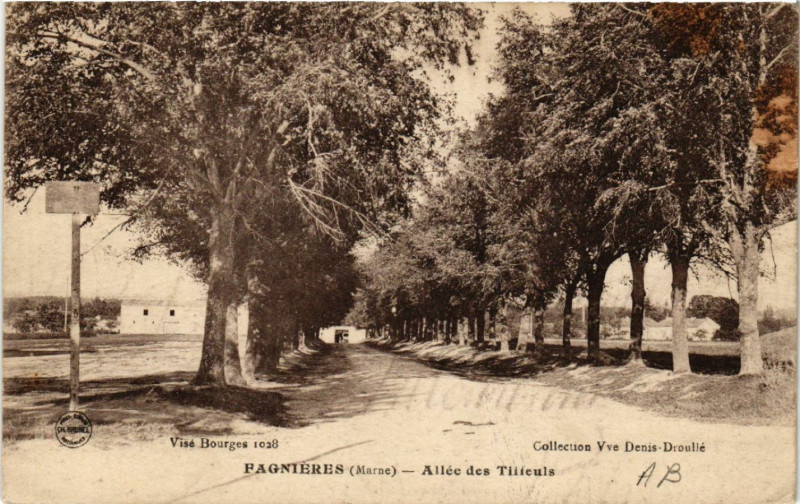 Carte postale ancienne Fagnieres-Allée des Tilleuls à Fagnières