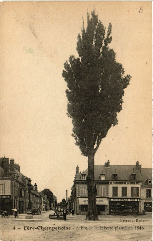 Carte postale ancienne Fere-Champenoise Arbre de la Liberte plante en 1848 à Fère-Champenoise
