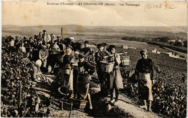 Carte postale ancienne Env. d'Epernay Ay Les Vendanges