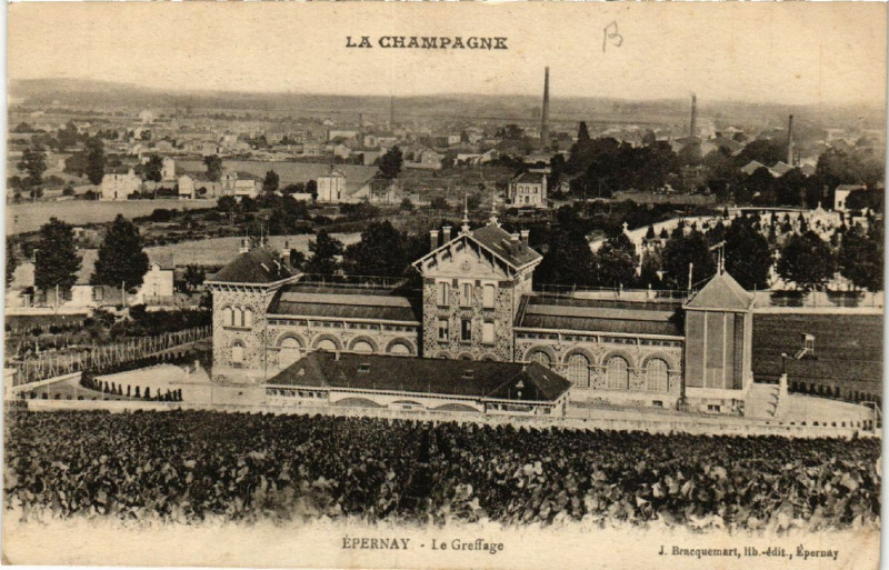 Carte postale ancienne Epernay Le Greffage à Épernay