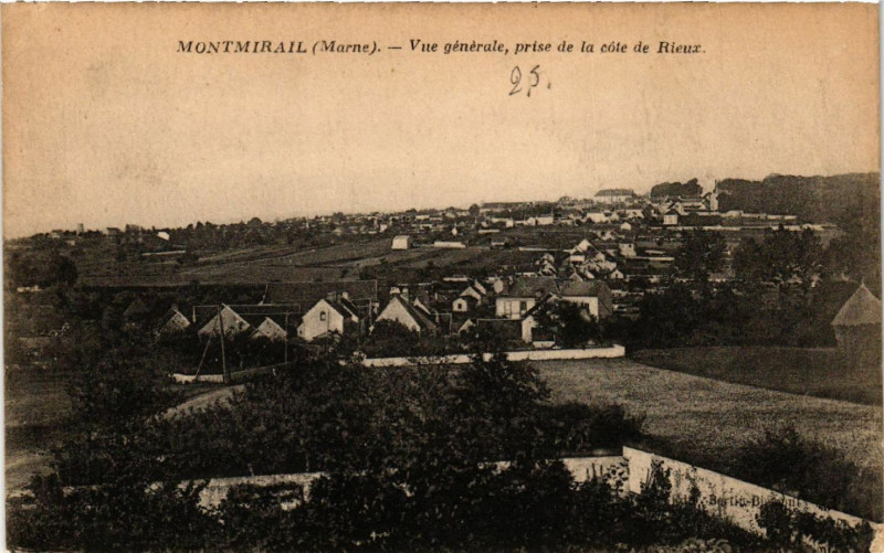 Carte postale ancienne Montmirail Vue générale prise de la cote de Rieux à Montmirail