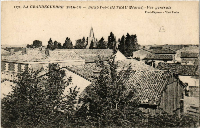 Carte postale ancienne Bussy le Chateau Vue générale