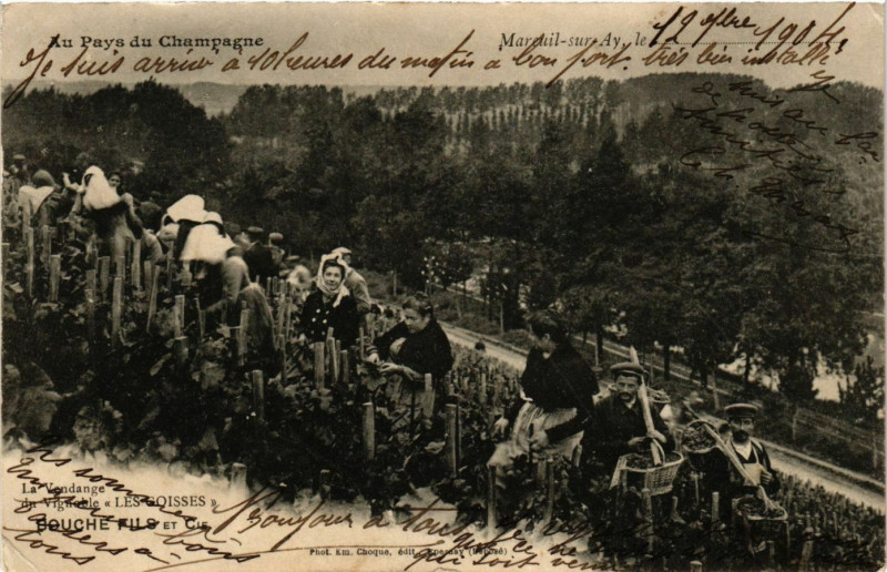 Carte postale ancienne Mareuil sur Ay - Les Goisses à Isse