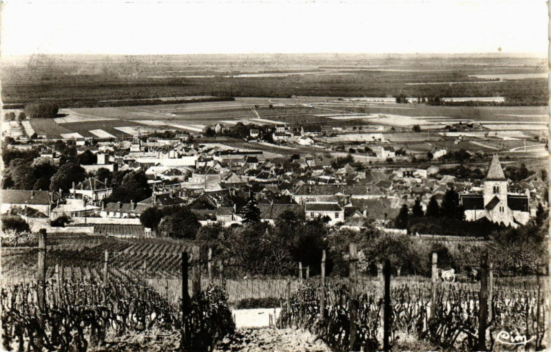 Carte postale ancienne Mesnil sur Oger - Vue générale