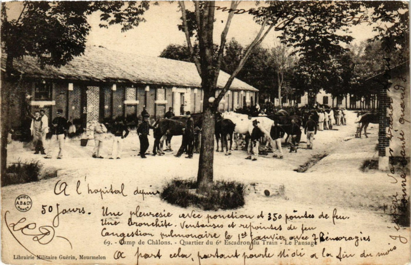 Carte postale ancienne Camp de Chalons - Le Pansage
