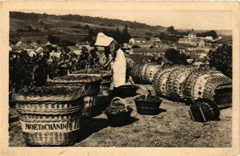 Carte postale ancienne Scene devendange a le Mesnil sur Oger au Mesnil-sur-Oger