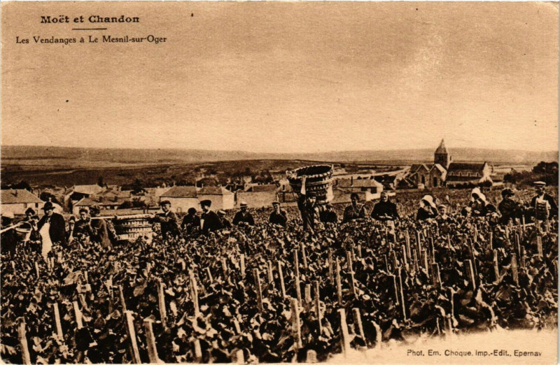 Carte postale ancienne Moet et Chandon - Les Vendangesa Le Mesnil sur Oger au Mesnil-sur-Oger