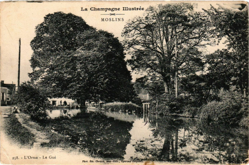 Carte postale ancienne Moslins - L'Orme à Moslins