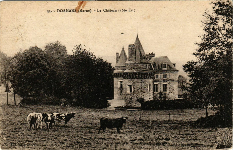 Carte postale ancienne Dormans - Le Chateau à Dormans
