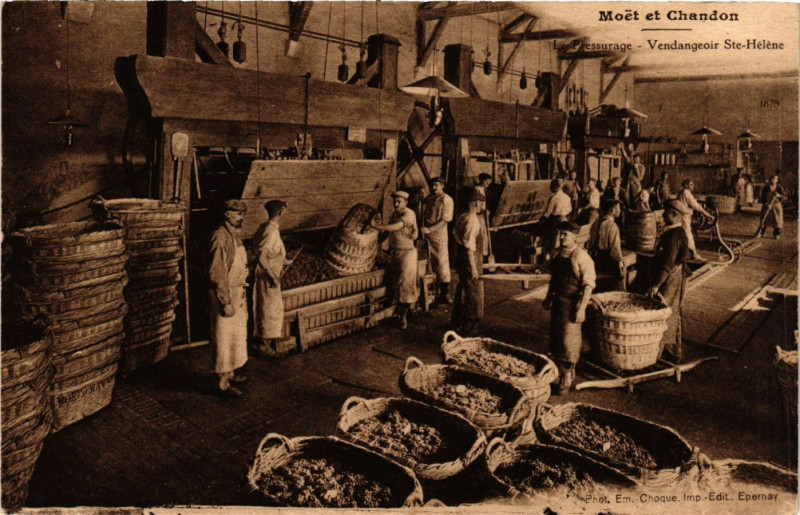 Carte postale ancienne Moet & Chandon - Le Pressurage