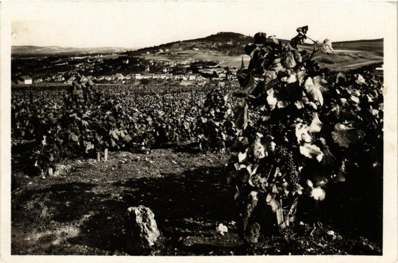 Carte postale ancienne Epernay --les-Vignes et Epernay à Épernay