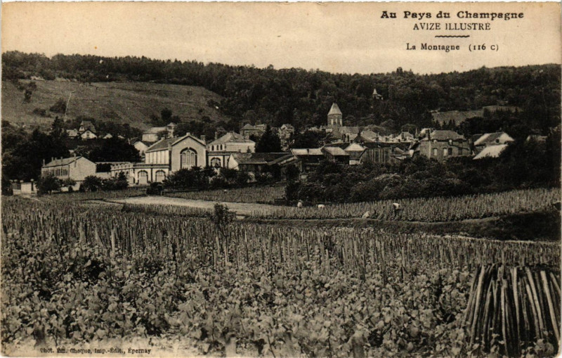 Carte postale ancienne Avize - La Montagne à Avize