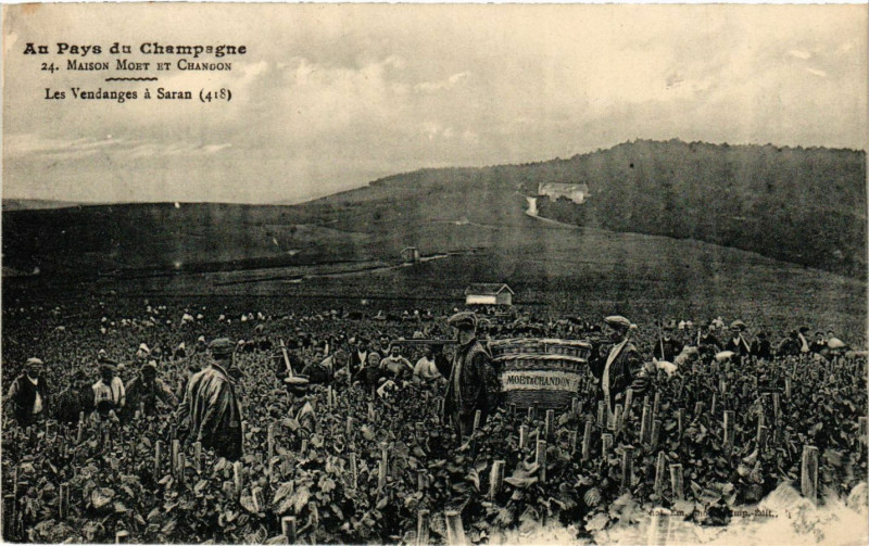 Carte postale ancienne Au Pays du Champagne - Les Vendanges a Saran