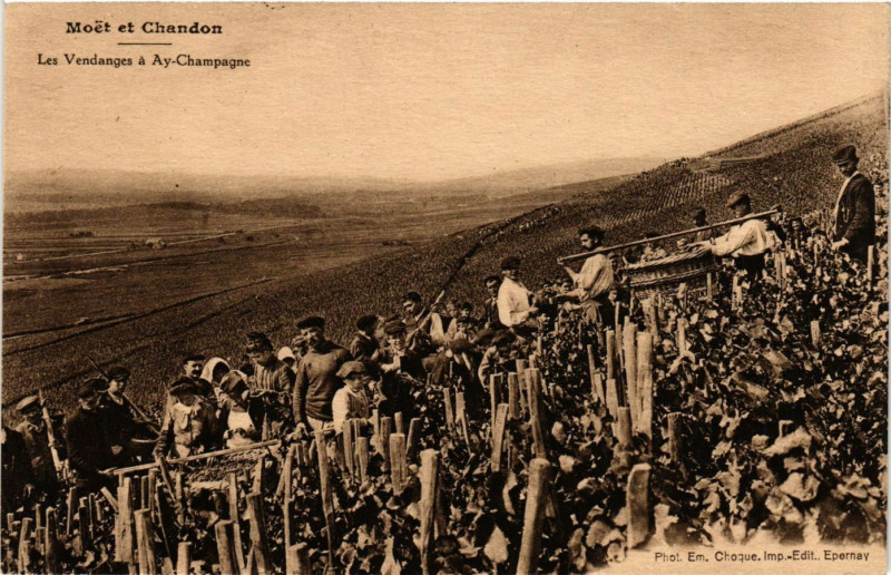 Carte postale ancienne Moet et Chandon