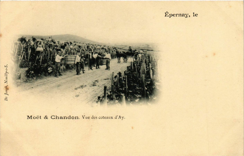 Carte postale ancienne Moet & Chandon - Vue des coteaux